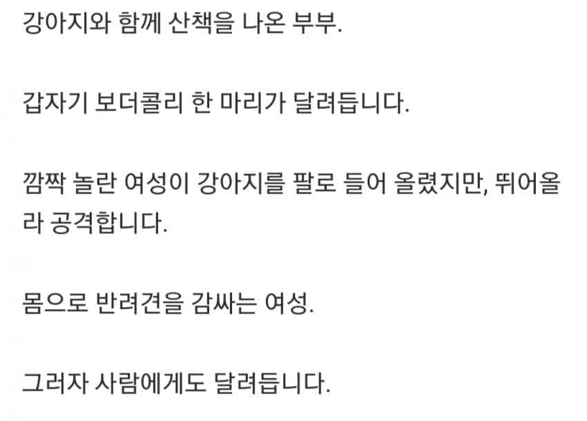 약혐) 안싱글벙글 보더콜리 물림 사고.. (3)