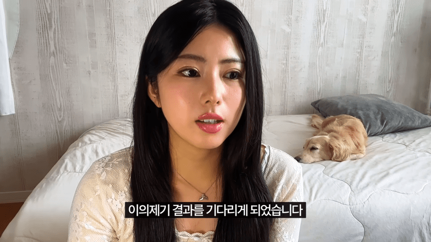 일본인 여자친구가 한국에서 입국 거부를 당했습니다 (29)