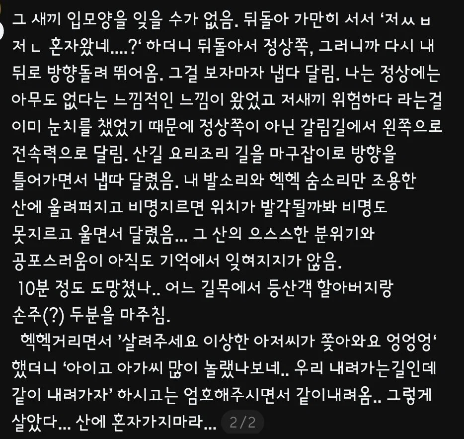 혼자 등산하는 여성 혼내는 아주머니 (24)