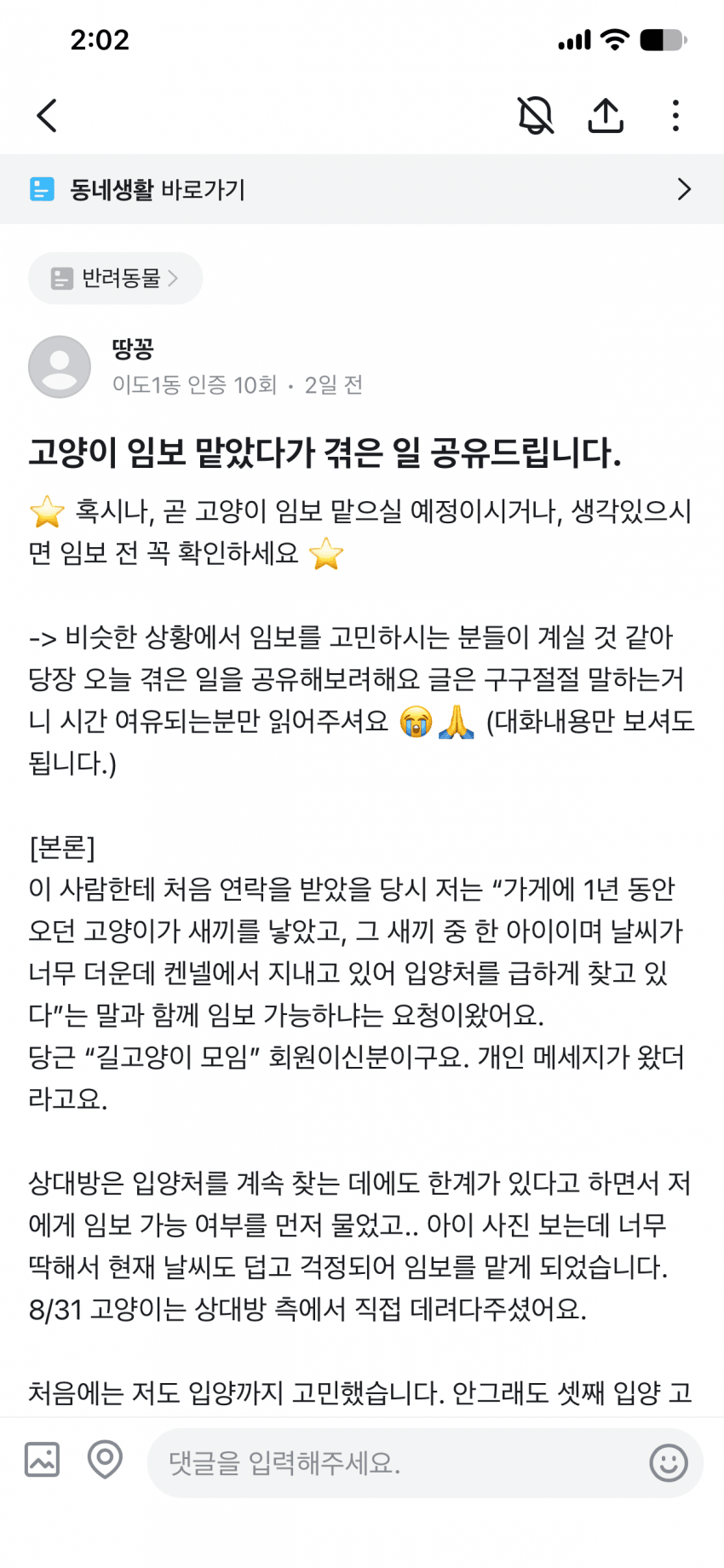 캣어머니한테 임보냥이 설계당한 당근 착한아줌마.