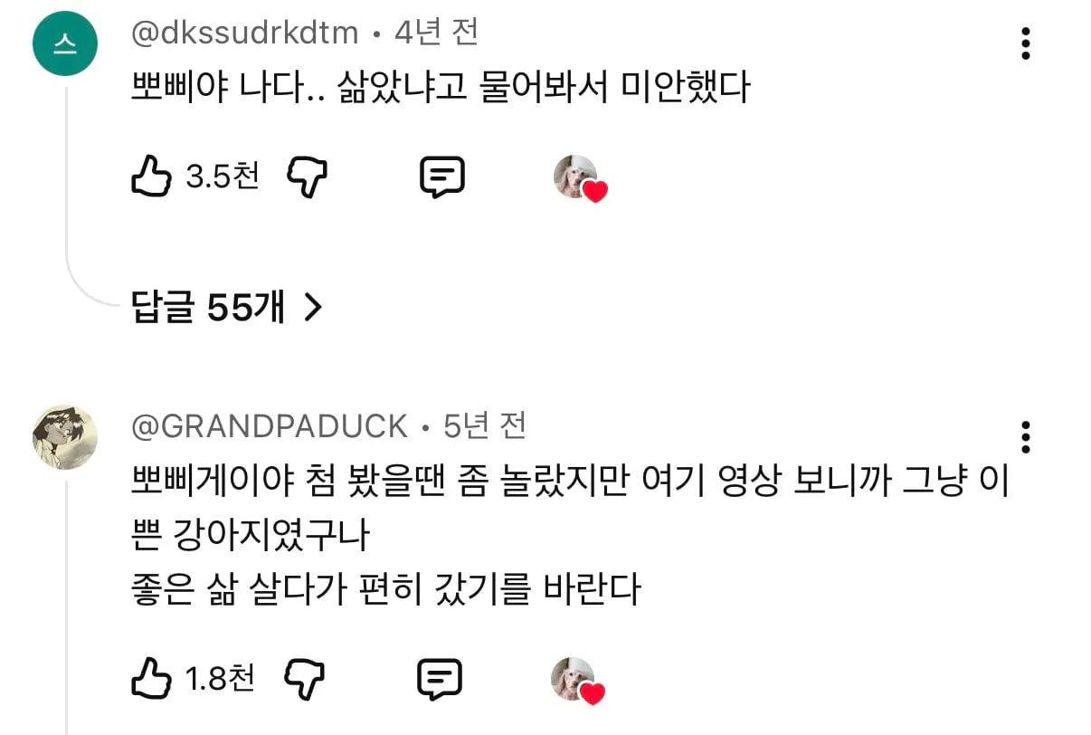 눈에넣어도안아픈우리집뽀삐…jpg