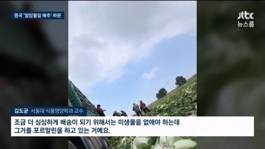 중국 배추 시신 보존제 발암물질 범벅…한국'중국산 김치'수입량 역대 최대 (16)