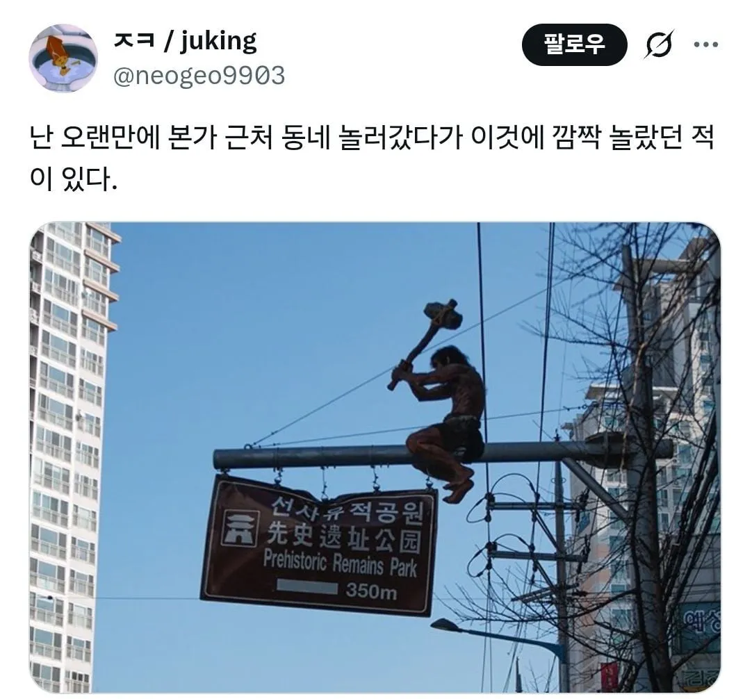 외지인을 반기는 대구 명물 모음