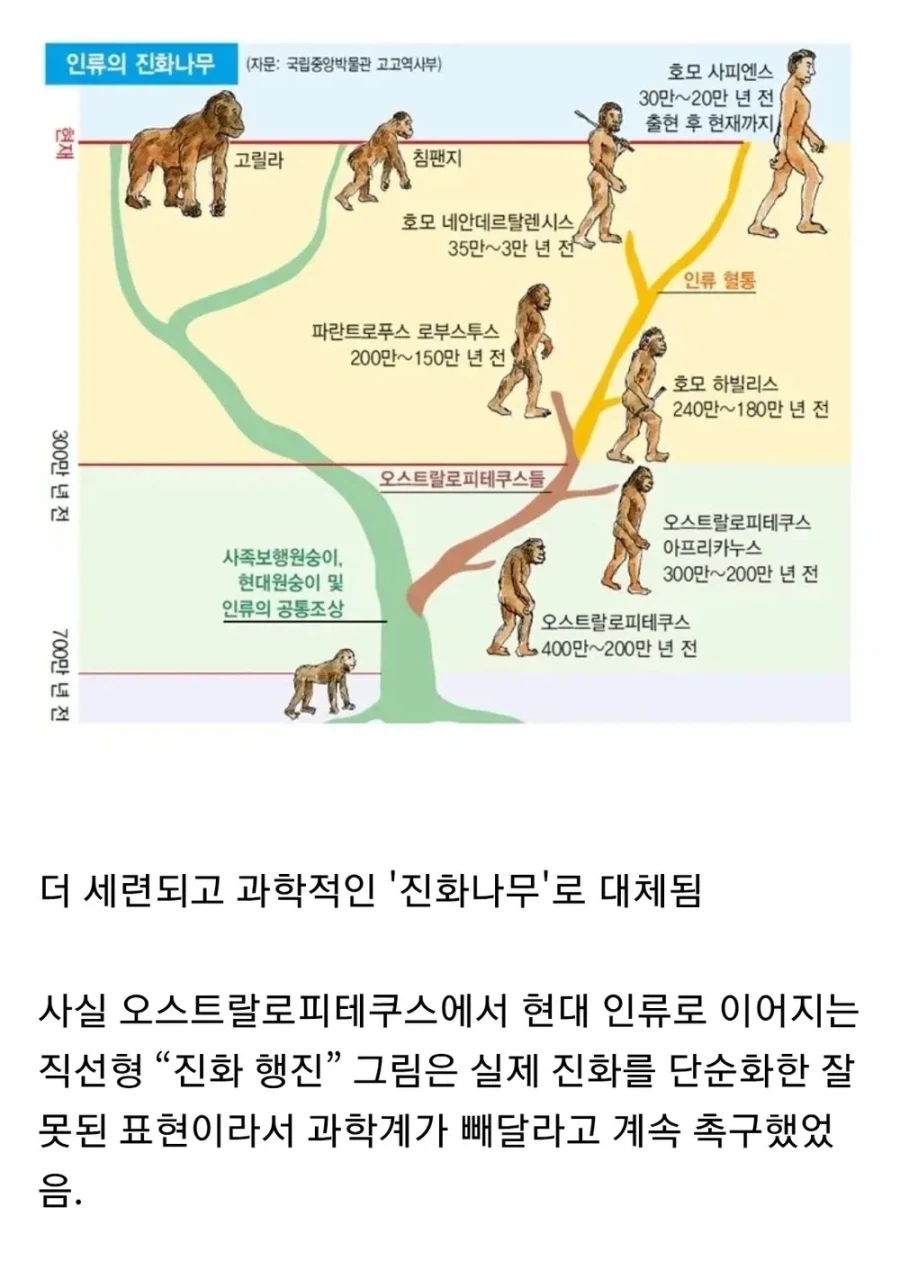 진화론을 조롱하는 대학생 (2)