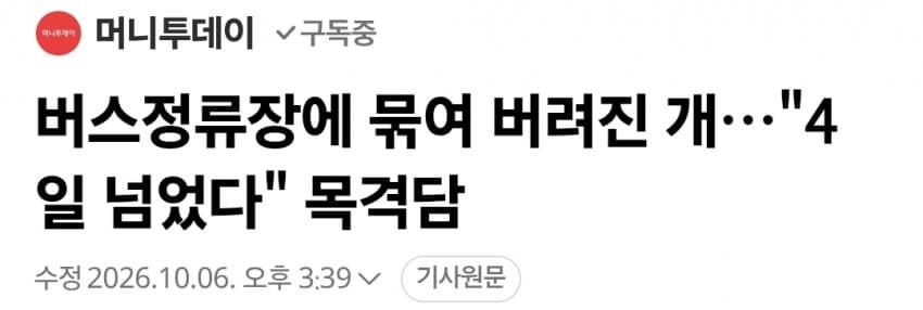 버스정류장에 묶여 버려진 개…"4일 넘었다" 목격담