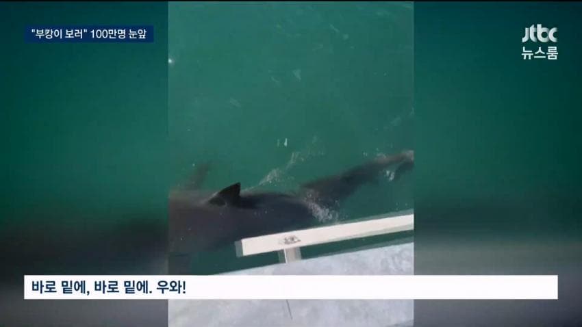 부캉이 보러... 결국 누적 100만명 돌파 (27)