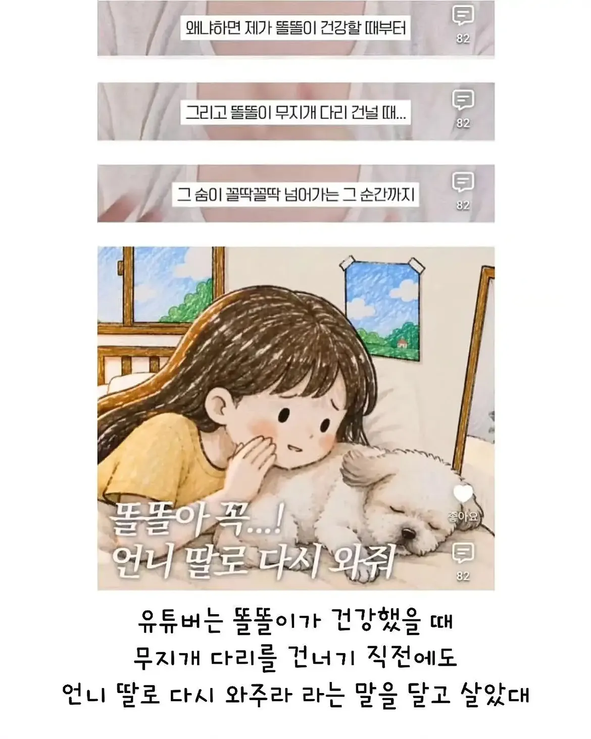 세상 떠난 반려견이 딸로 돌아온거 같다는 유튜버 (13)