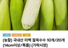 국내산 미백 찰옥수수 10개 (14cm이상/특품)