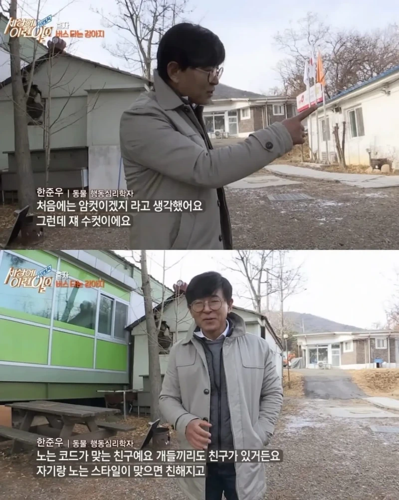 고전] 친구 만나러 혼자 버스타고 5km를 무임승차하는 초롱이