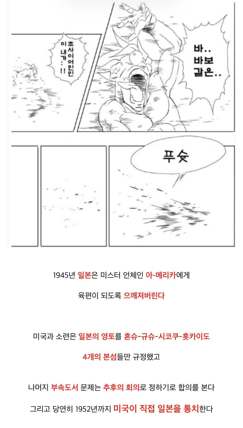 어찌보면 한국 최후의 의병 (3)
