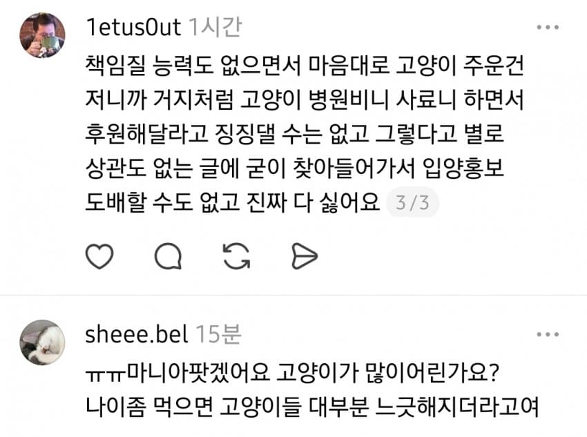 길고양이 주우면 안되는 이유 (3)