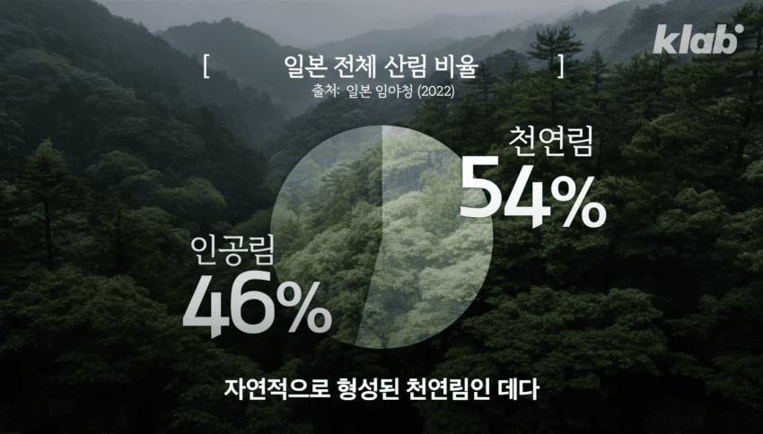 깜짝 .. 일본숲이 유독 무서운 이유 ㄹㅇ . (12)