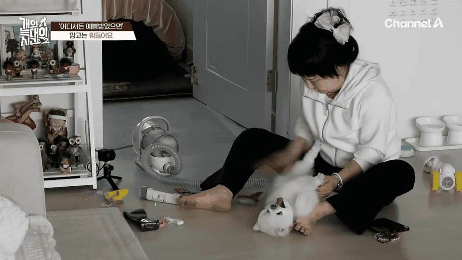 [#개와늑대의시간2] _저 같아도 물 것 같._ 하루에 개를 462번 부르는 보호자!_😨🚨 (귀에 딱지 앉을 듯.)🤕🐕 _ 개와 늑대의 시간2 17회 7-59 screenshot.png