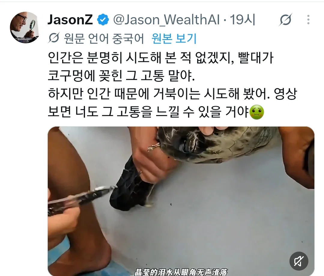 콧구멍에 박힌 빨대 뽑는데 너무 아파서 눈 꼭 감는 거북이...twt