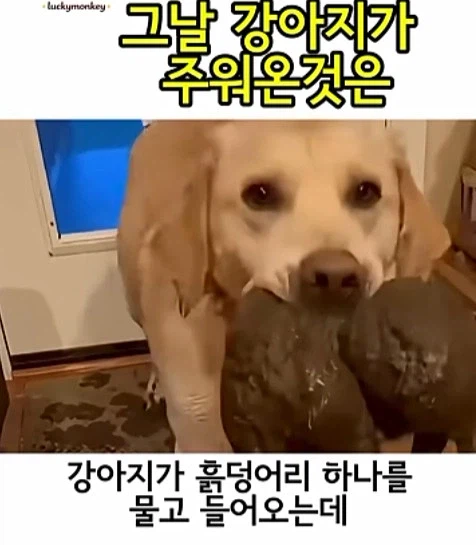 유튜브 쇼츠 AI 뇌절 대잔치