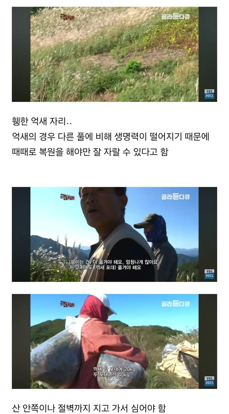 등산로는 누가 어떻게 만드는걸까 (9)