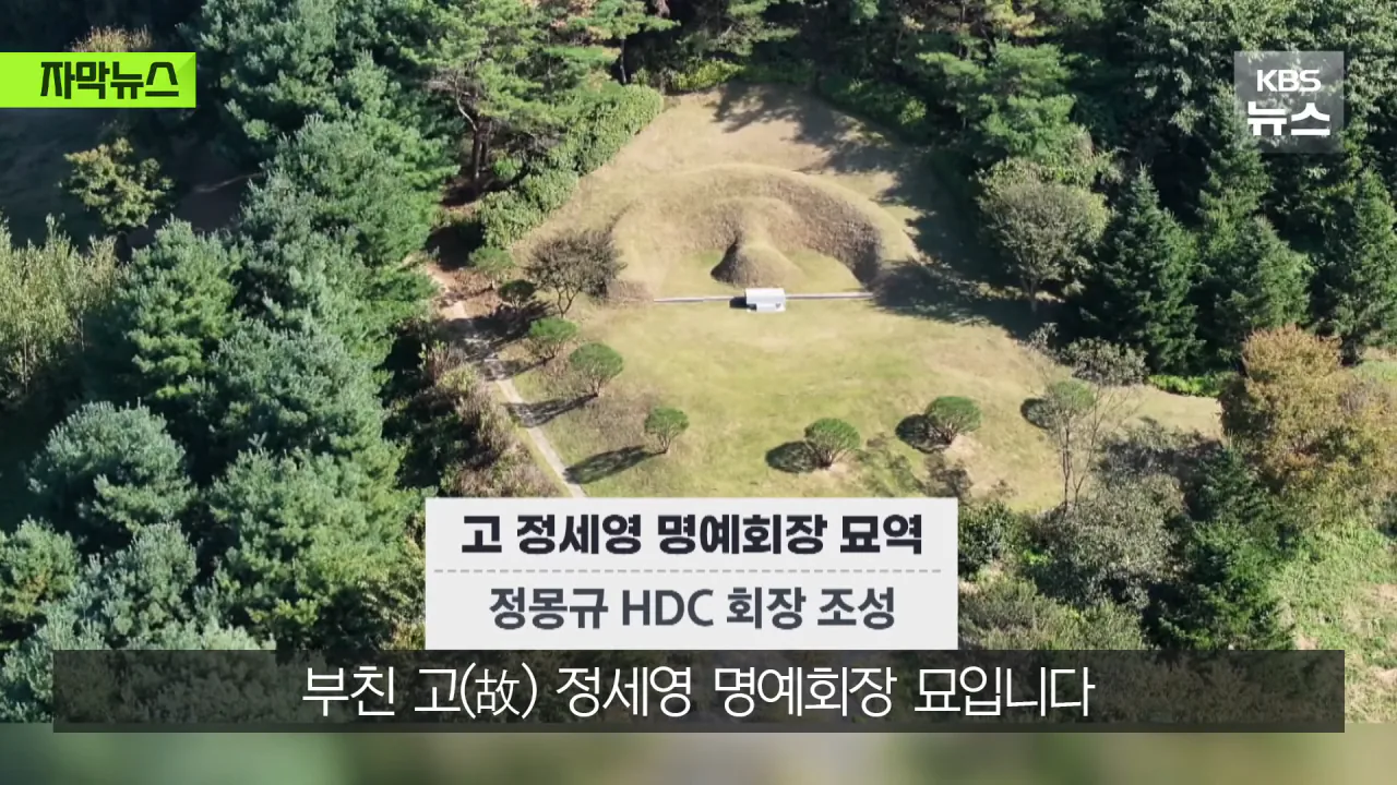 명당 차지한 범현대가 2세들…취재가 시작되자 "시정하겠다" (7)