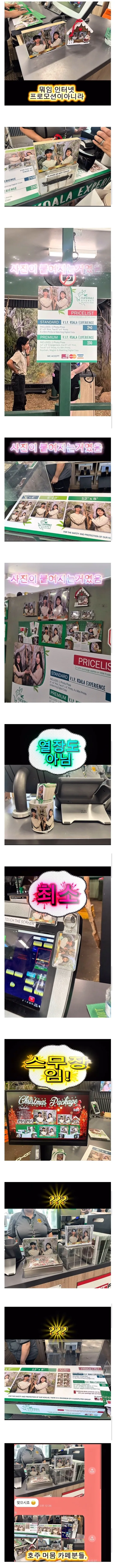 사진 공짜로 찍었다가 호주 명물이 된 한국인 커플
