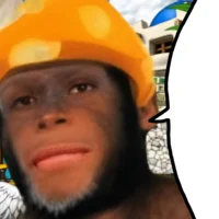 icon_11