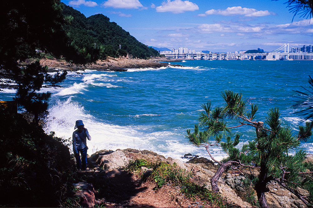 [velvia50]   부산 거리사진 (23)
