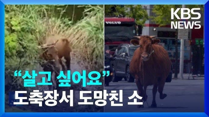 싱글벙글 의외로 동물 복지인거 (14)