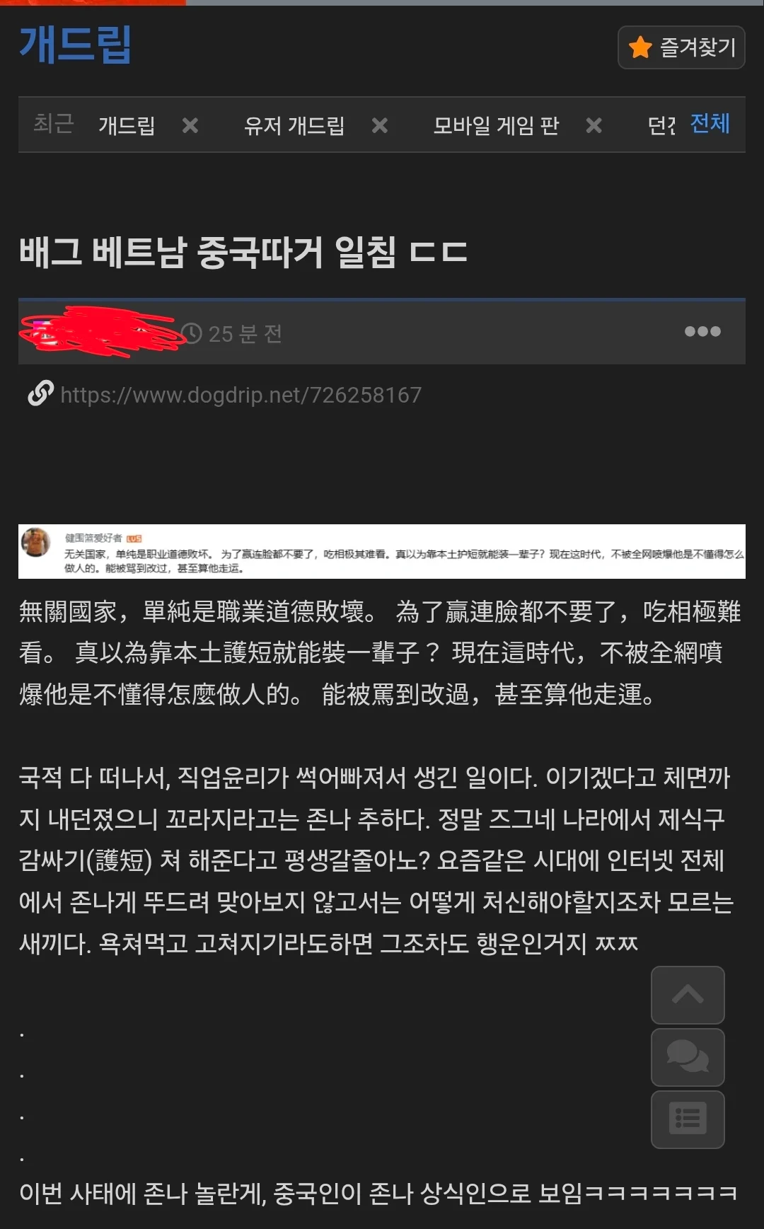 않이 시발 이젠 개드립 댓글도 렉카당하네 (2)