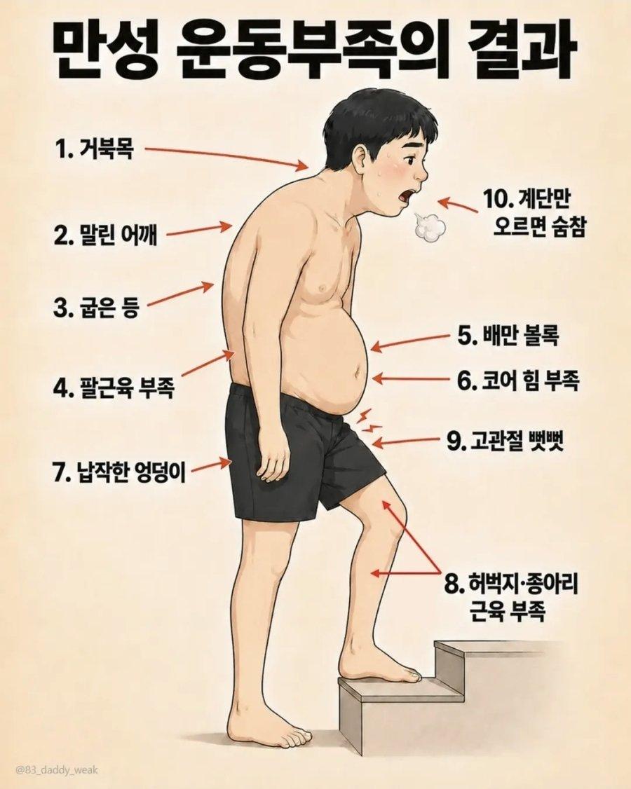 현실적인 보배형들 상태