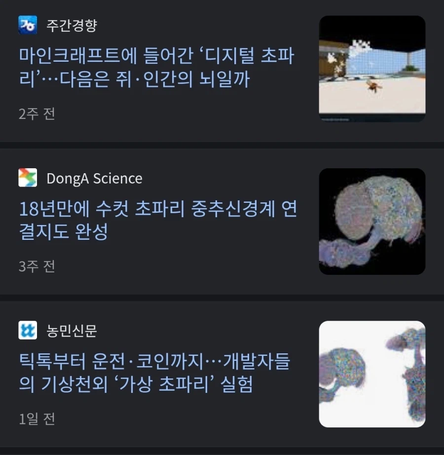 사실상 현실화된 밈