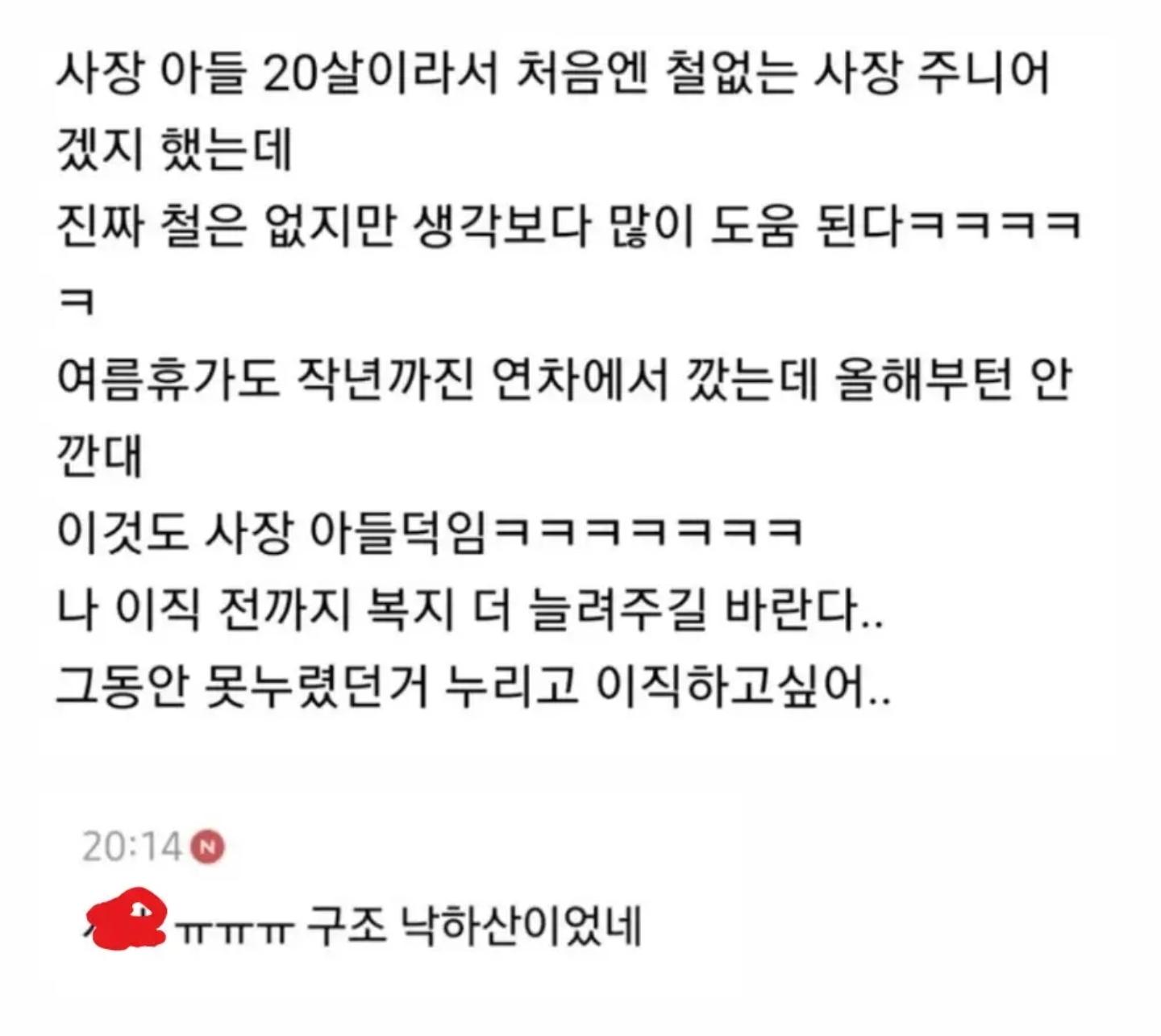 20대 사장 아들이 낙하산으로 왔다 (3)