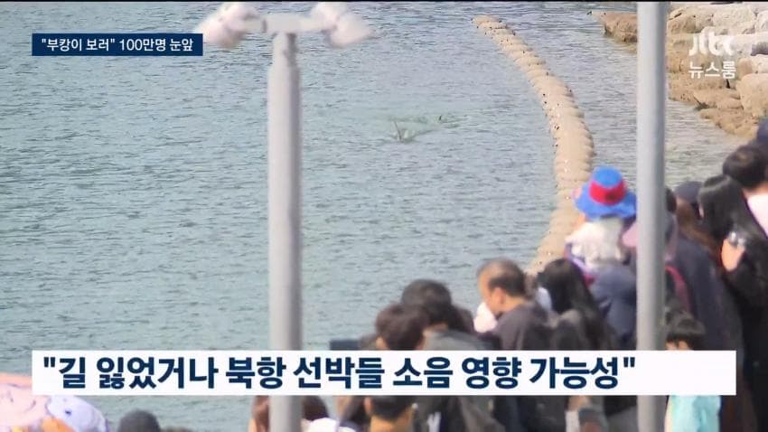부캉이 보러... 결국 누적 100만명 돌파 (33)