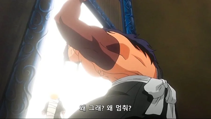 블리치)솔직히 맞는말 한 이치마루 긴 (11)