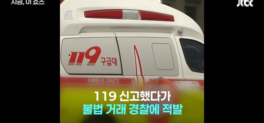 코브라 팔려다 물린 중학생, 119 신고에 들통 (9)