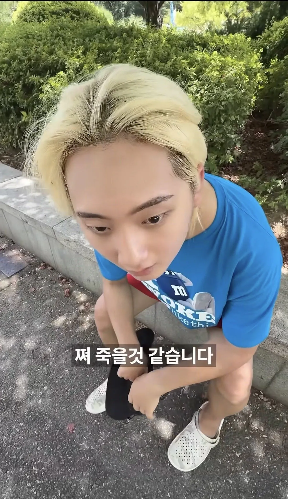 평일 점심 에버랜드 근황