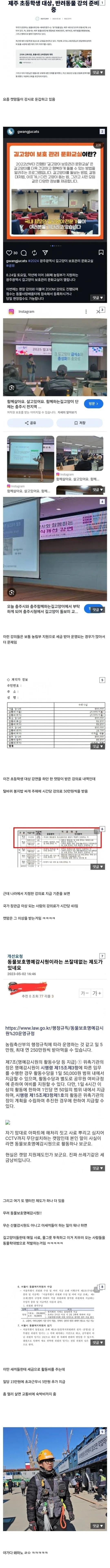 캣맘이 고액 강의료 받는 강사가 되는 과정