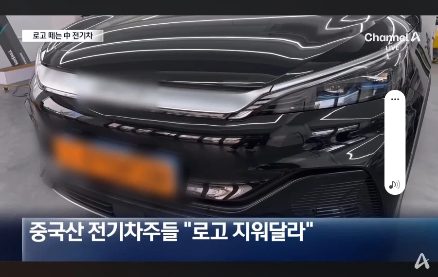 로고 전부 땐다는 BYD 차주들 근황 (2)