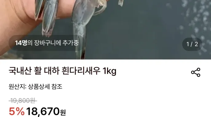 국내산 활 대하 흰다리새우 1kg