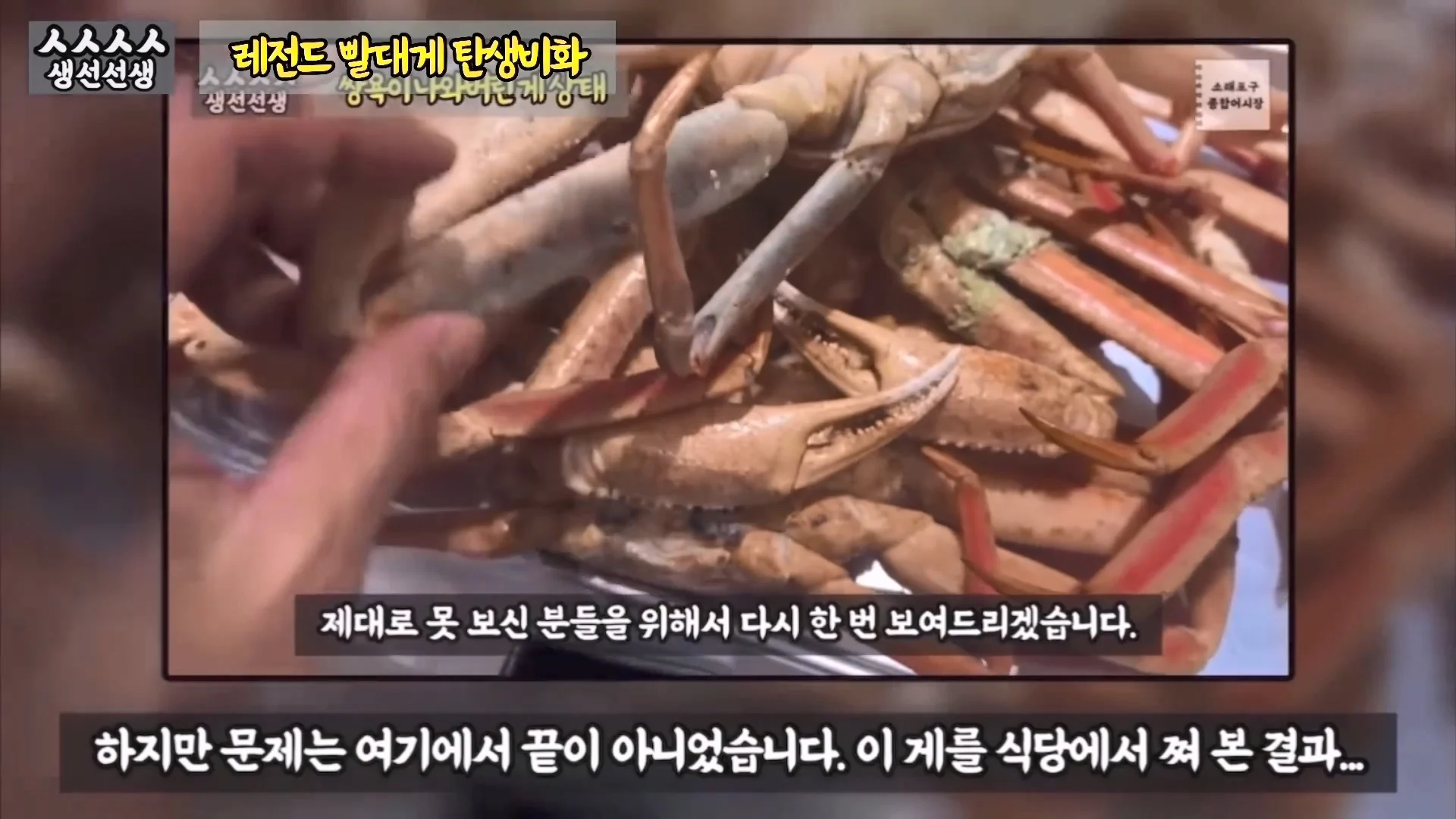 소래포구에 가게 차린 유튜버 근황