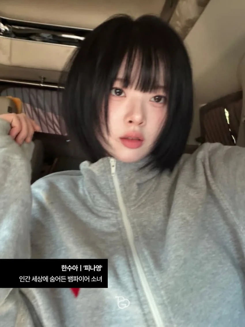20년만에 돌아온 <안녕,프란체스카>신작 후속작 근황 (4)