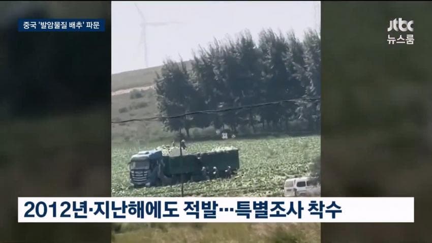 중국 배추 시신 보존제 발암물질 범벅…한국'중국산 김치'수입량 역대 최대 (18)