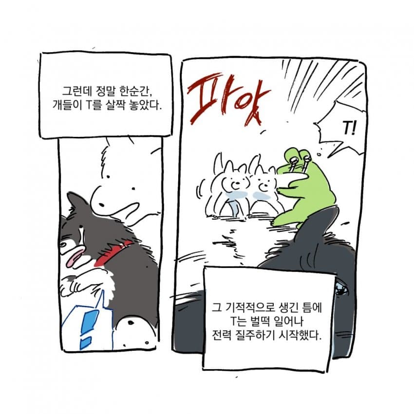 싱글벙글 개물림 사고 겪은 썰.manhwa (16)
