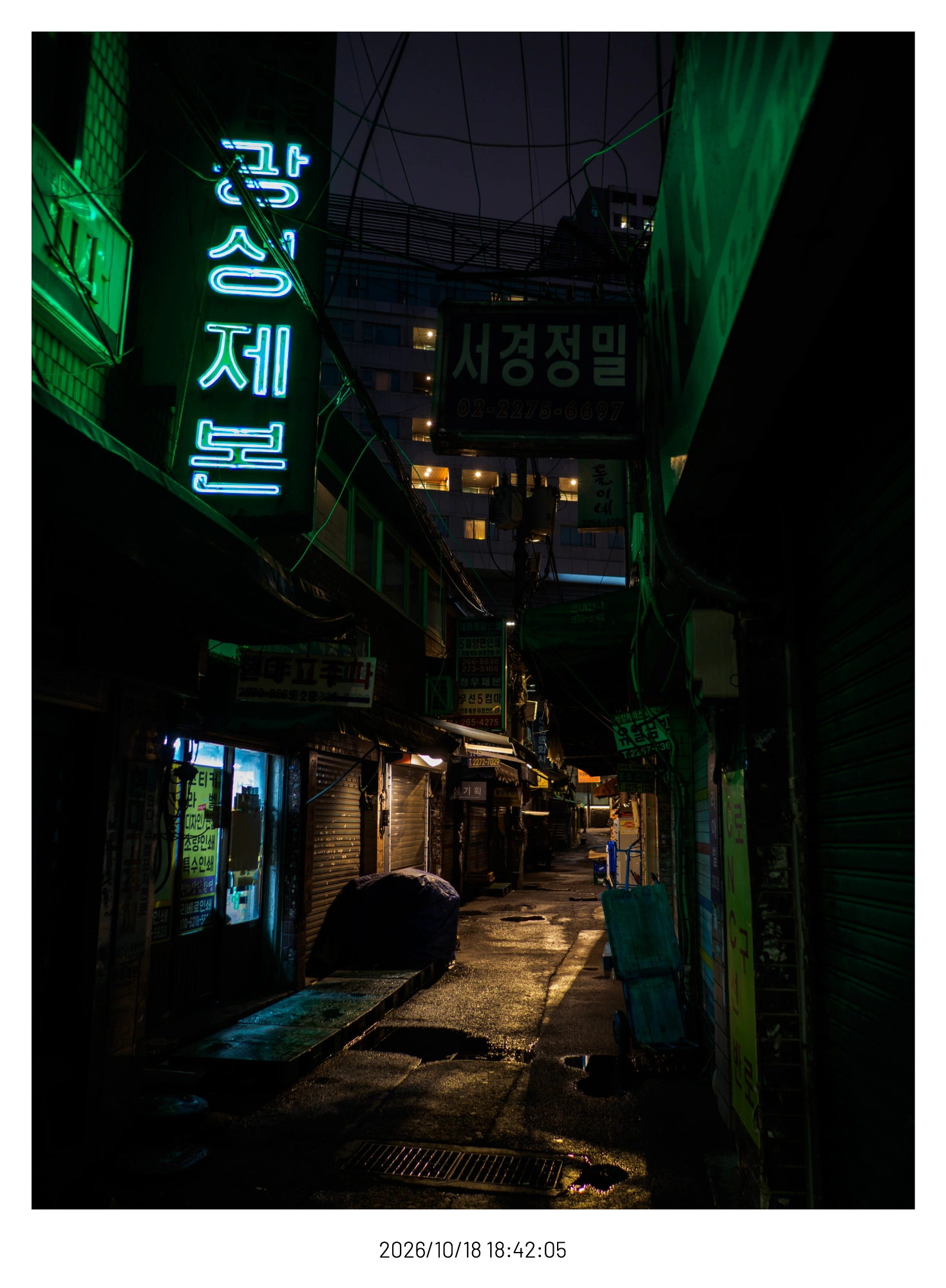 뭘하려는건지정리되지않은방향성이없는사진모음 (14)