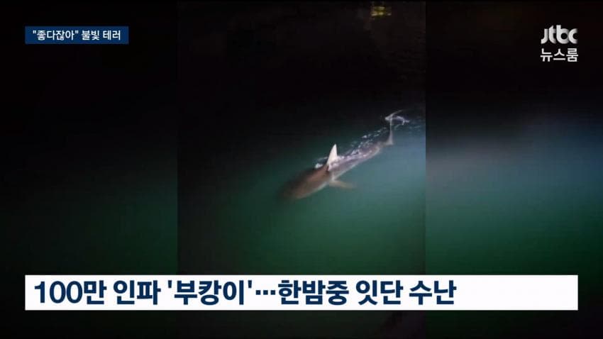 싱글벙글 부캉이 근황 (18)