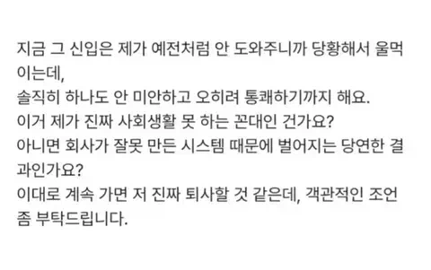 나보다 연봉 높은 신입 교육 안 하기로.... (4)