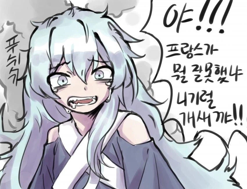 자기 조국이 뭘 잘못했나며 따지는 프랑스인의 모습