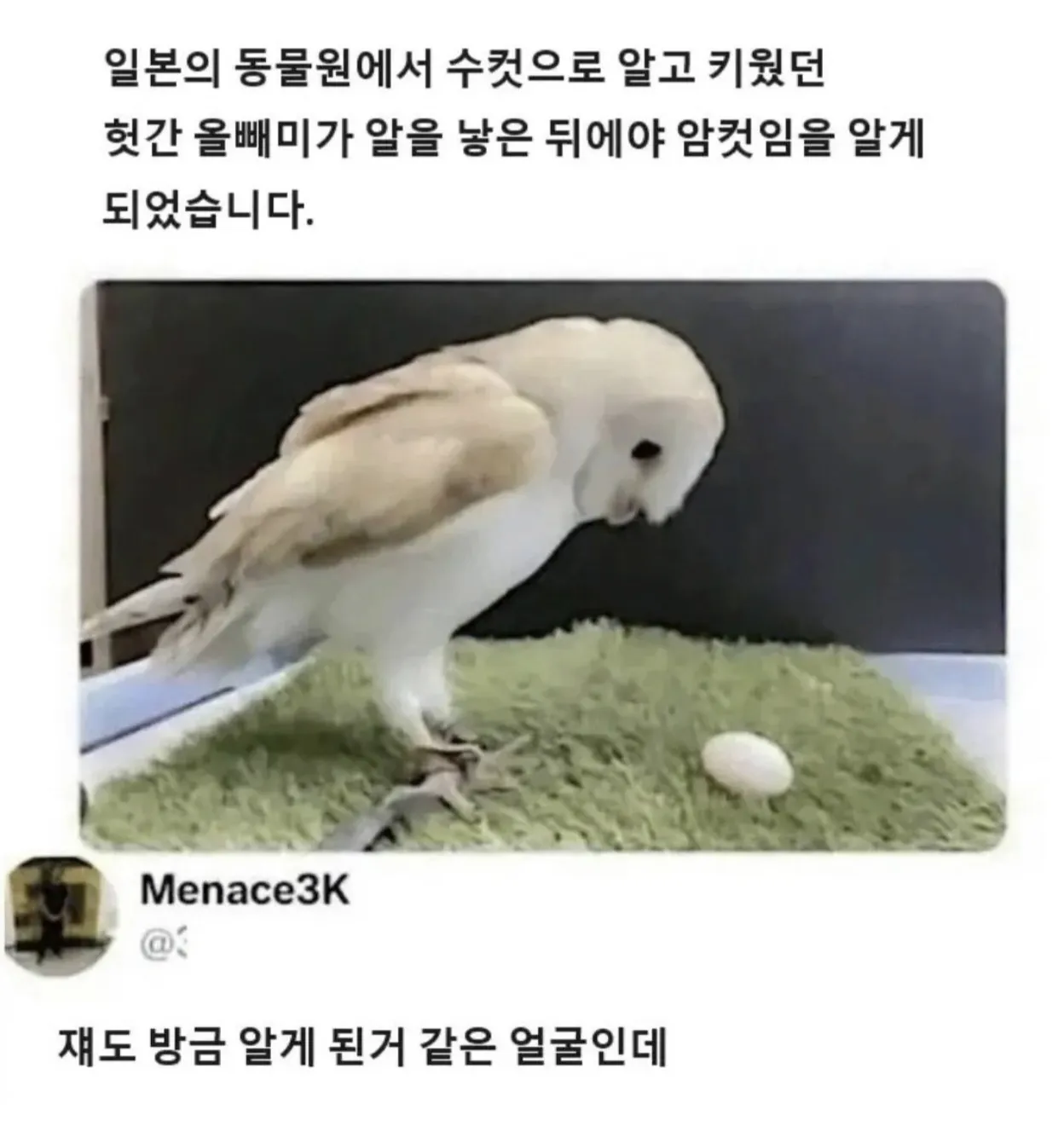 일본의 한 동물원에서