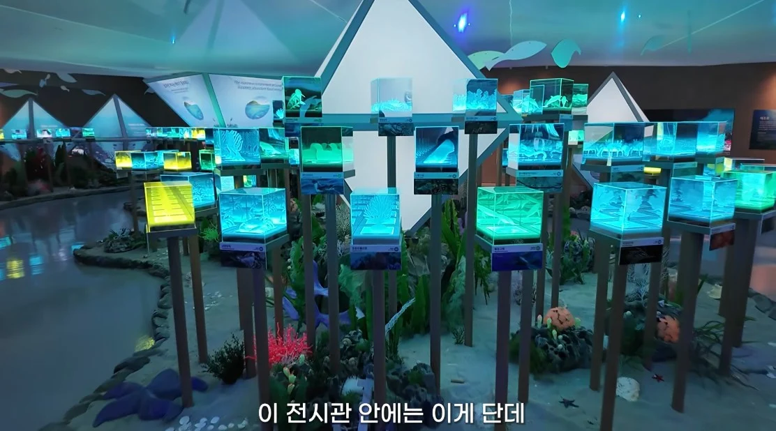 안 싱글벙글 여수국제 섬박람회 후기 (21)