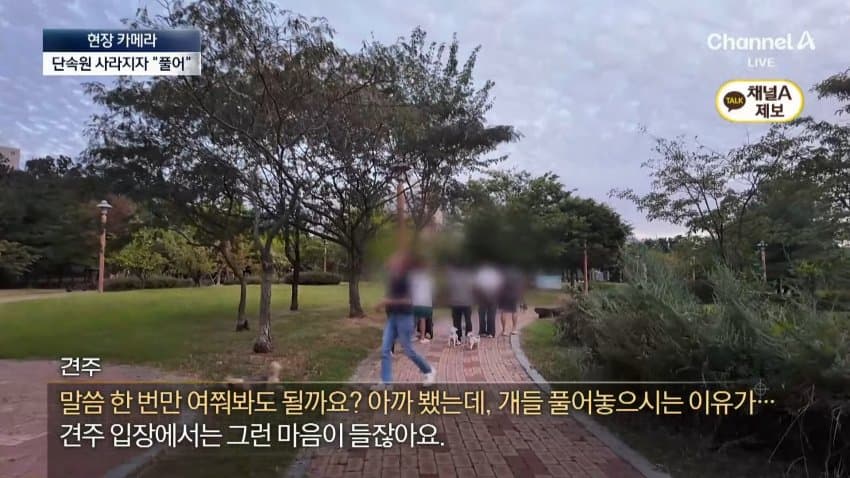채널a) 단속원 퇴근하자...공원이 '개판' (21)