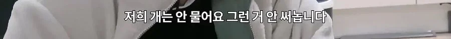 기안84 : 저희 개는 물어요