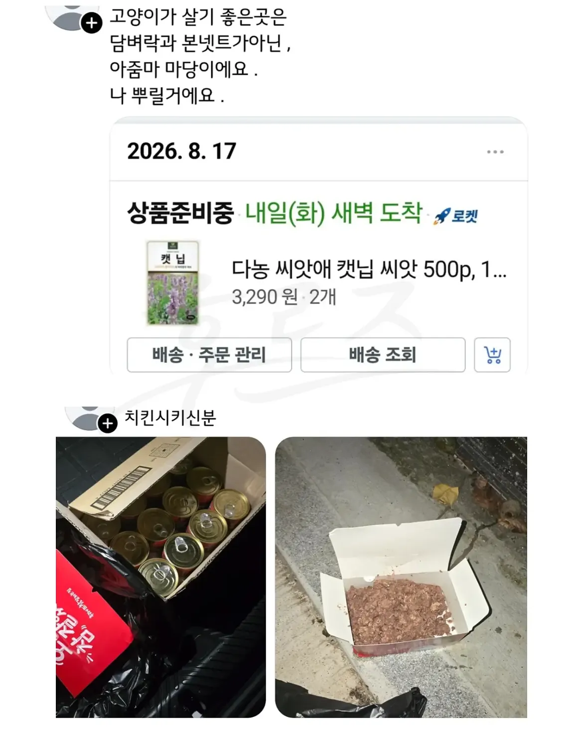 싱글벙글 캣맘 처리법 (6)