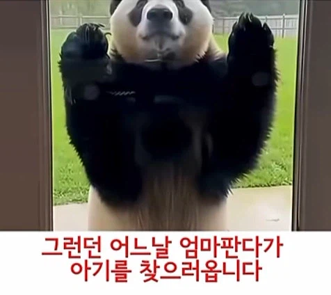 유튜브 쇼츠 AI 뇌절 대잔치 (10)